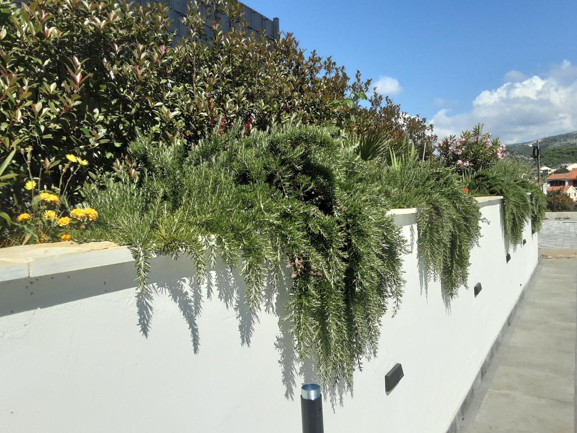 Villa Barbara & Zoran With Free Parking And Heated Swimming Pool 希杰·弗朗吉卡 外观 照片
